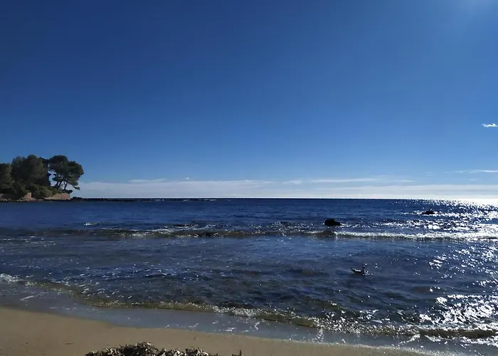 Paradise Entre Et Pins Saint-Raphaël